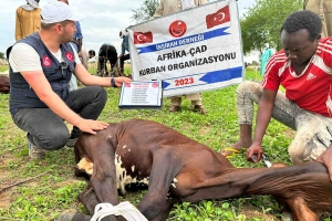 Kurban .Adak. Akika