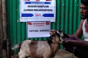 Kurban .Adak. Akika