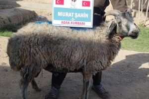 Kurban .Adak. Akika