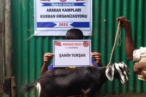 Kurban .Adak. Akika