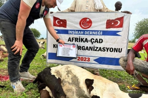 Kurban .Adak. Akika
