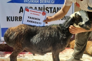 Kurban .Adak. Akika