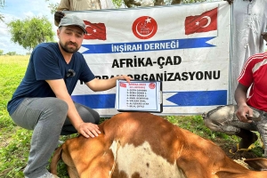 Kurban .Adak. Akika