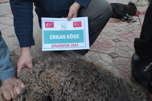 Kurban .Adak. Akika