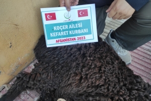 Kurban .Adak. Akika