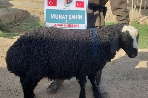 Kurban .Adak. Akika