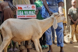 Kurban ve Adak