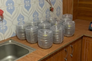 Medrese, Okul ve Yetimhane