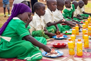 Medrese, Okul ve Yetimhane