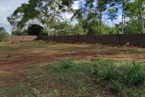 Medrese, Okul ve Yetimhane