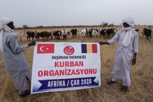 2026 YILI KURBAN HAZIRLIĞI BAŞLADI