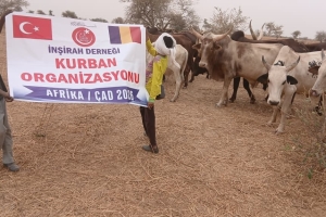 2026 YILI KURBAN HAZIRLIĞI BAŞLADI