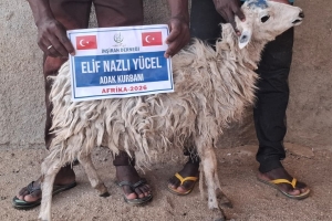 “Onların ne etleri ne de kanları Allah’a ulaşır; O’na ulaşan yalnızca sizin takvanızdır.”