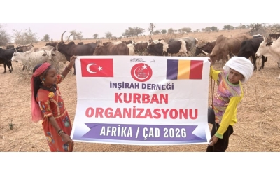 2026 YILI KURBAN HAZIRLIĞI BAŞLADI