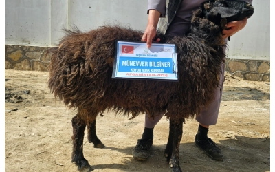 “Onların ne etleri ne de kanları Allah’a ulaşır; O’na ulaşan yalnızca sizin takvanızdır.”